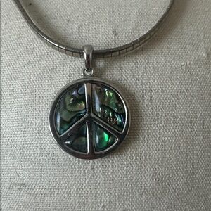 Abalone shell necklace